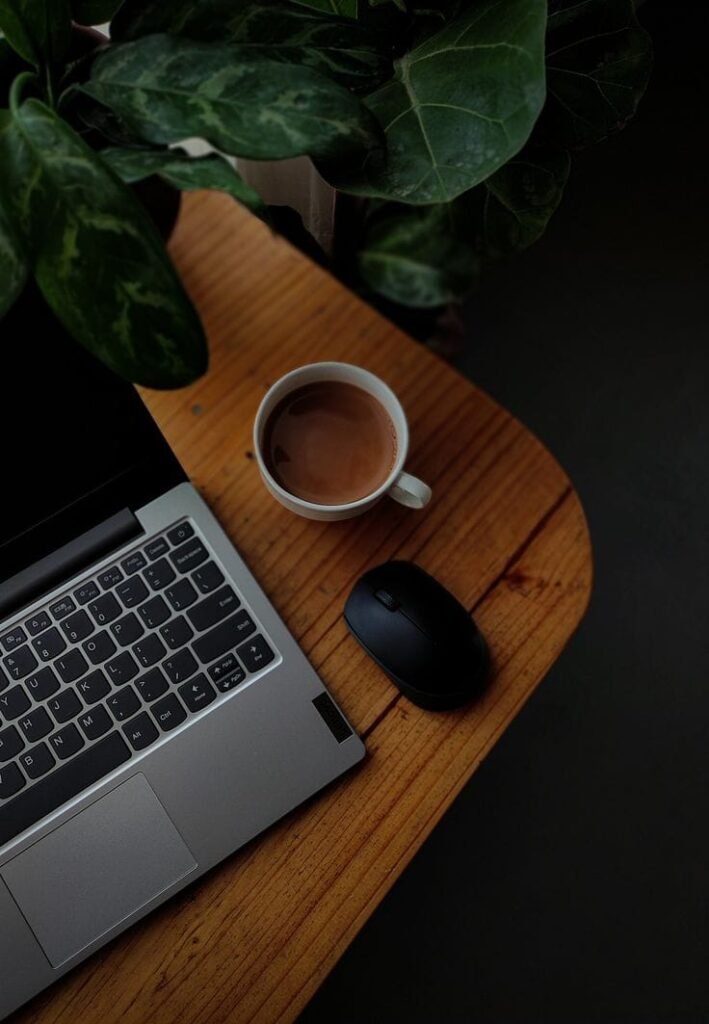 Professional Digital Marketer In Wayanad